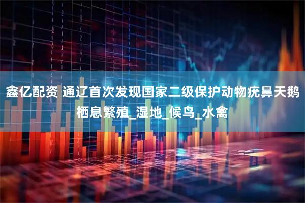 鑫亿配资 通辽首次发现国家二级保护动物疣鼻天鹅栖息繁殖_湿地_候鸟_水禽