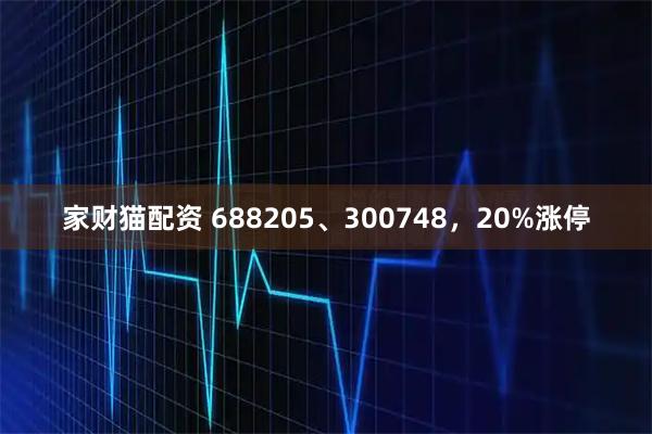 家财猫配资 688205、300748，20%涨停