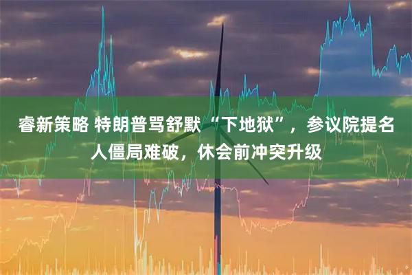 睿新策略 特朗普骂舒默 “下地狱”，参议院提名人僵局难破，休会前冲突升级