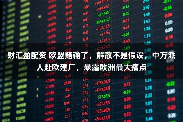 财汇盈配资 欧盟赌输了，解散不是假设，中方派人赴欧建厂，暴露欧洲最大痛点
